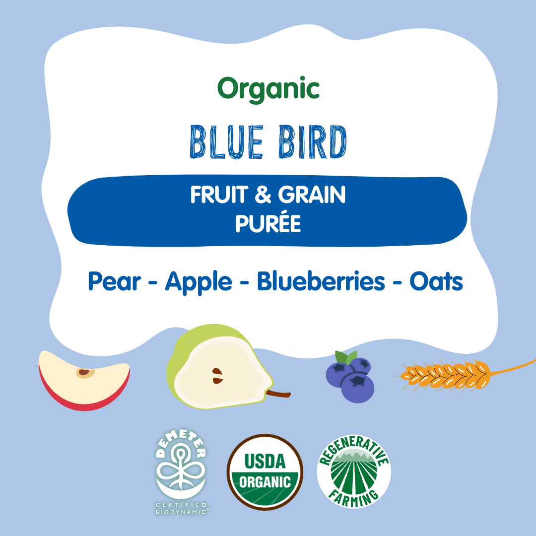 Holle Baby Food Pouches - Organic Fruit & Grain Puree - Blue Bird - Roar Baby Monitors
